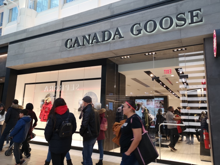 People waiting on line to visit Canada Goose store
