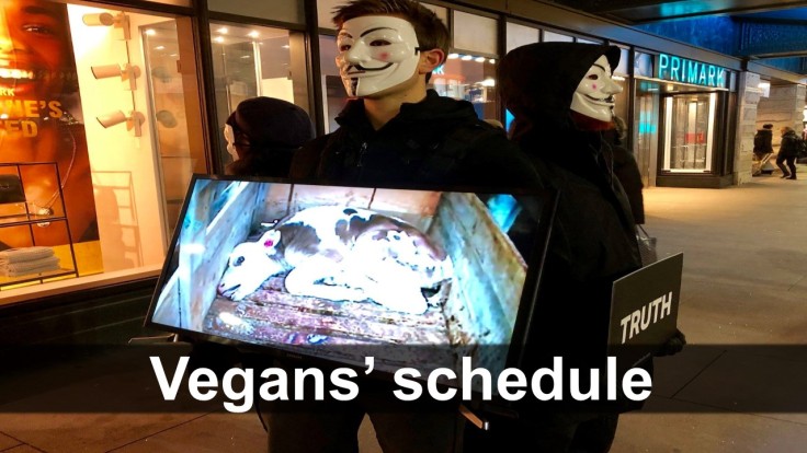 vegans' schedule